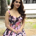 Beautiful Nabha Natesh at Maestro Movie Interview Stills 18 Beautiful Nabha Natesh at Maestro Movie Interview Stills 18