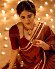 Beautiful Nabha Natesh in a Maroon Vintage Silk Saree with a Custom Deep V Neck Blouse Photo