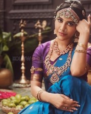Beautiful Nabha Natesh in a Traditional Blue and Purple Saree for Ugadi Photoshoot Pictures 07