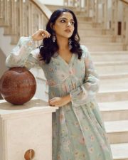 Beautiful Nikhila Vimal in a Sage Green Dress Pictures 01