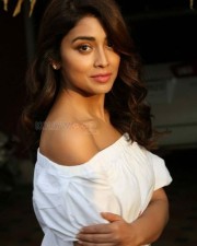 Beautiful Sexy Shriya Saran Photos