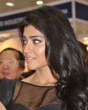 Beautiful Shriya Photos