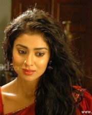 Beautiful Shriya Saran Chandra Movie Photos