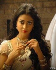 Beautiful Shriya Saran Chandra Movie Photos