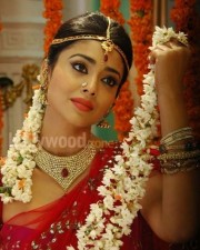 Beautiful Shriya Saran Chandra Movie Photos