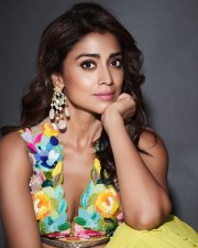 Beautiful Shriya Saran in a Colourful Dress Pictures 04