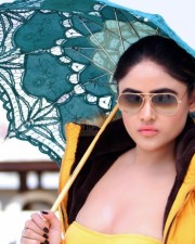 Beautiful Sony Charishta Photoshoot Pictures