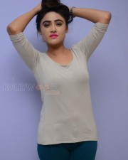 Beautiful Sony Charishta Pictures
