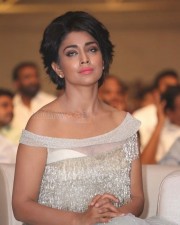 Beautiful Tamil Actress Shriya Saran Pictures