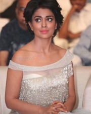 Beautiful Tamil Actress Shriya Saran Pictures