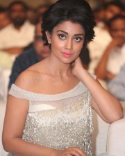 Beautiful Tamil Actress Shriya Saran Pictures
