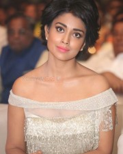Beautiful Tamil Actress Shriya Saran Pictures