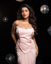 Beautiful Telugu Heroine Rashi Singh in a Light Pink Strapless Bustier Top with a Floor Length Skirt Pictures 03