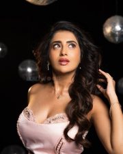 Beautiful Telugu Heroine Rashi Singh in a Light Pink Strapless Bustier Top with a Floor Length Skirt Pictures 04
