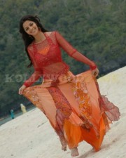 Vedhika 24 Beautiful Vedhika Stills