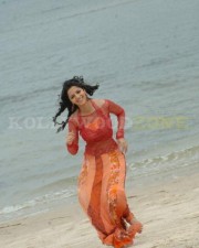 Vedhika 55 Beautiful Vedhika Stills
