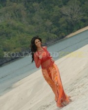 Vedhika 50 Beautiful Vedhika Stills