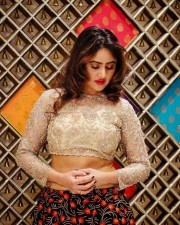 Beauty Queen Sony Charishta Glamorous Photo Shoot Pictures