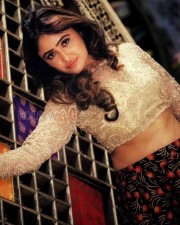 Beauty Queen Sony Charishta Glamorous Photo Shoot Pictures