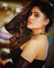 Beauty Queen Sony Charishta Glamorous Photo Shoot Pictures