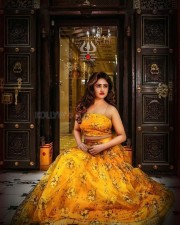 Beauty Queen Sony Charishta Glamorous Photo Shoot Pictures