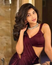 Bengali Beauty Srijita Ghosh in a Maroon Saree Photos 03