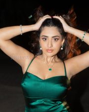 Bewitching Rashi Singh Cleavage in a Emerald Green Satin Strapless Sweetheart Dress Photos 02
