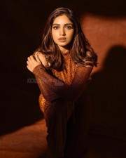Bhumi Pednekar Sultry in Brown Photos 03
