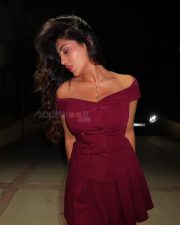 Bold Rashi Singh in a Off Shoulder Maroon Dress Photos 03