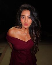 Bold Rashi Singh in a Off Shoulder Maroon Dress Photos 04