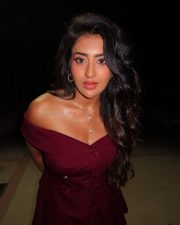 Bold Rashi Singh in a Off Shoulder Maroon Dress Photos 04 Bold Rashi Singh in a Off Shoulder Maroon Dress Photos 04