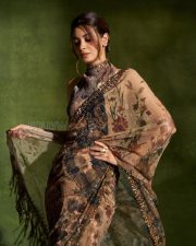 Captivating Actress Diana Penty in a Floral Organza Saree with Sequin Border Photos 02