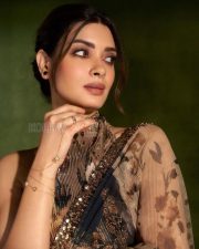 Captivating Actress Diana Penty in a Floral Organza Saree with Sequin Border Photos 04
