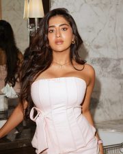 Charming Actress Rashi Singh in a Blush Pink Strapless Corset Dress Photos 03 Charming Actress Rashi Singh in a Blush Pink Strapless Corset Dress Photos 03