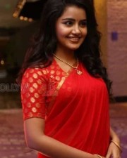 Cute Actress Anupama Parameshwaran Pictures