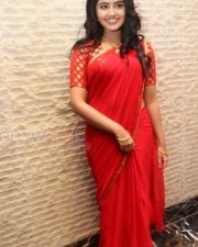 Cute Actress Anupama Parameshwaran Pictures