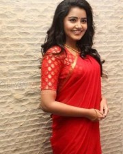 Cute Actress Anupama Parameshwaran Pictures