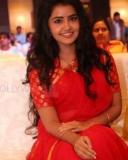 Cute Actress Anupama Parameshwaran Pictures