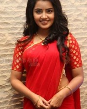 Cute Actress Anupama Parameshwaran Pictures