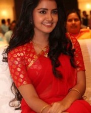 Cute Actress Anupama Parameshwaran Pictures