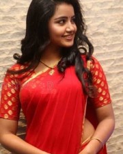 Cute Actress Anupama Parameshwaran Pictures