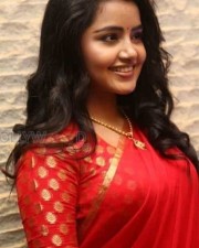 Cute Actress Anupama Parameshwaran Pictures