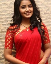 Cute Actress Anupama Parameshwaran Pictures