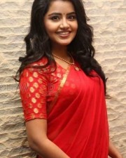 Cute Actress Anupama Parameshwaran Pictures