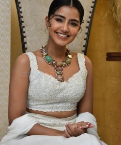 Cute Anupama Parameswaran at Karthikeya 2 Press Meet Photos 04
