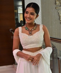 Cute Anupama Parameswaran at Karthikeya 2 Press Meet Photos 08