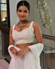Cute Anupama Parameswaran at Karthikeya 2 Press Meet Photos 10