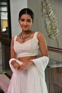 Cute Anupama Parameswaran at Karthikeya 2 Press Meet Photos 10