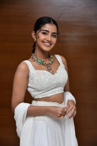Cute Anupama Parameswaran at Karthikeya 2 Press Meet Photos 17