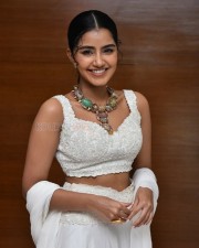 Cute Anupama Parameswaran at Karthikeya 2 Press Meet Photos 19